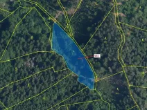 Dražba louky, Jílové u Držkova, 4019 m2