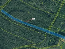 Dražba lesa, Jesenice, 2895 m2