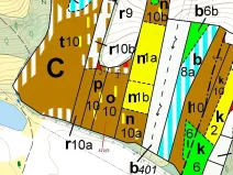 Dražba lesa, Přílepy, 7060 m2