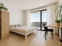 Prodej bytu 1+kk, Brno, Řípská, 45 m2