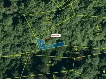 Dražba lesa, Hovězí, 115 m2