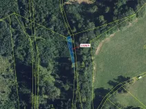 Dražba lesa, Kladky, 199 m2