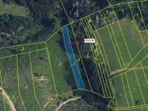 Dražba lesa, Spešov, 1009 m2