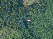 Dražba lesa, Netřebice, 295 m2