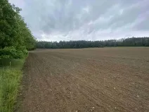 Dražba pole, Bojanovice, 22823 m2