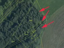 Prodej lesa, Horní Studénky, 1864 m2