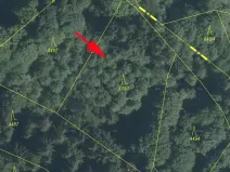 Prodej lesa, Železný Brod, 2062 m2