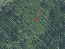 Prodej louky, Březolupy, 1586 m2