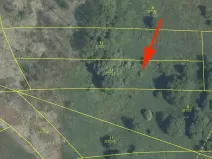 Prodej podílu louky, Bakov nad Jizerou, 1054 m2