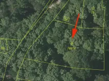 Prodej lesa, Všeruby, 1325 m2