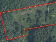 Prodej podílu louky, Svijanský Újezd, 1597 m2