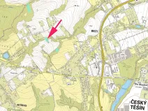 Prodej lesa, Český Těšín, 3156 m2