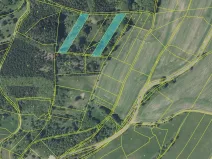 Prodej louky, Nový Hrádek, 2694 m2