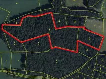 Prodej lesa, Úlehle, 21886 m2