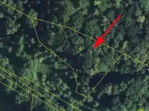 Prodej lesa, Stvolínky, 2465 m2