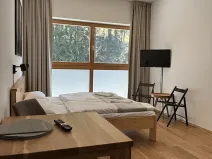 Prodej bytu 1+kk, Pec pod Sněžkou, 32 m2