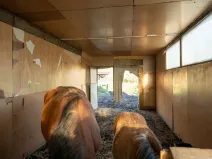 Pronájem - jiné, Markvartovice, 111 m2