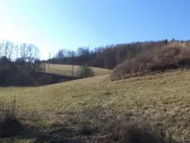 Dražba louky, Úštěk, 4600 m2