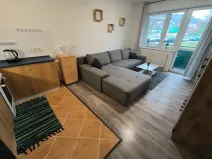 Pronájem bytu 1+kk, Ústí nad Labem, Baráčnická, 33 m2