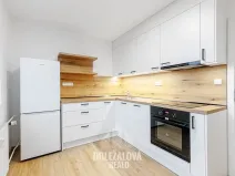 Prodej bytu 1+1, Malý Beranov, 46 m2