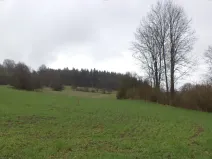 Dražba pole, Mladý Smolivec, 15075 m2