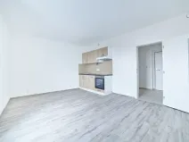Pronájem bytu 1+kk, Plzeň, Železniční, 50 m2