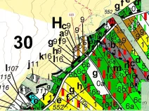 Dražba lesa, Trhové Sviny, 590 m2