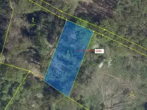 Dražba lesa, Stebno, 1462 m2