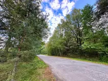 Prodej komerčního pozemku, Luštěnice, 9368 m2