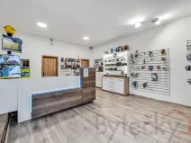 Pronájem kanceláře, Praha - Hlubočepy, Slivenecká, 96 m2