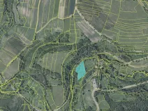 Prodej pole, Slavošov, 6916 m2