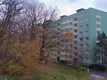 Prodej bytu 1+1, Jirkov, Pionýrů, 36 m2
