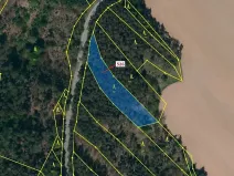 Dražba lesa, Náměšť nad Oslavou, 1796 m2