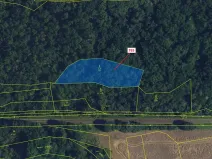 Dražba lesa, Lhota Rapotina, 1793 m2