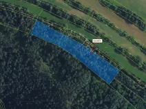 Dražba lesa, Žďárec, 5233 m2