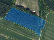 Dražba lesa, Olešnice, 15378 m2