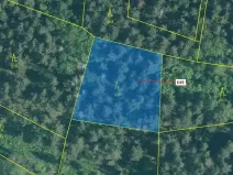Dražba lesa, Kuřimany, 1722 m2
