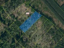 Dražba lesa, Náměšť nad Oslavou, 1976 m2