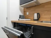 Pronájem bytu 1+kk, Ostrava, Cihelní, 17 m2