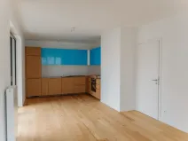 Pronájem bytu 2+kk, Brno, Bratislavská, 57 m2