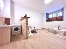 Prodej bytu 1+1, Praha - Žižkov, Biskupcova, 29 m2