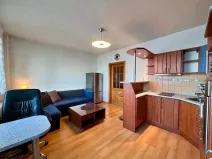 Pronájem bytu 1+kk, Praha - Chodov, Bachova, 26 m2