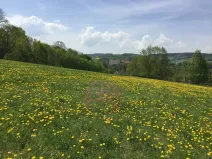 Prodej pozemku pro bydlení, Volyně, 6867 m2