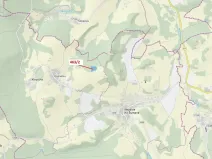 Dražba lesa, Nezdice na Šumavě, 10638 m2