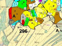 Dražba lesa, Nezdice na Šumavě, 10638 m2