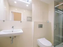 Pronájem bytu 1+kk, Praha - Vinohrady, Záhřebská, 50 m2