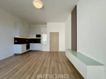 Pronájem bytu 1+kk, Brno, Gajdošova, 33 m2