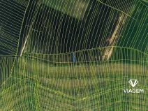 Prodej pole, Morkůvky, 295 m2