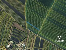 Prodej pole, Mutěnice, 1151 m2