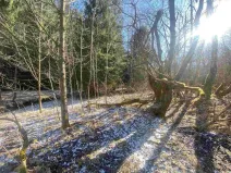 Prodej pozemku, Čachrov - Javorná, 10377 m2